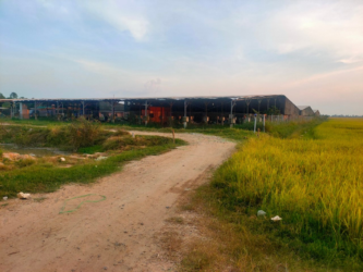 TRANG TRẠI  A LĂNG – TÂN HỒNG, ĐỒNG THÁP Quy  mô: 140.000 con