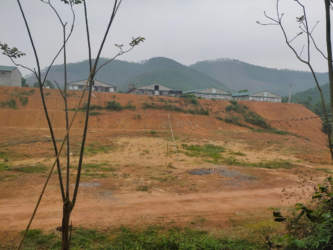TRẠI GÀ DOANH THỦY – YÊN LẬP, PHÚ THỌ Quy mô: 80.000 gà thịt